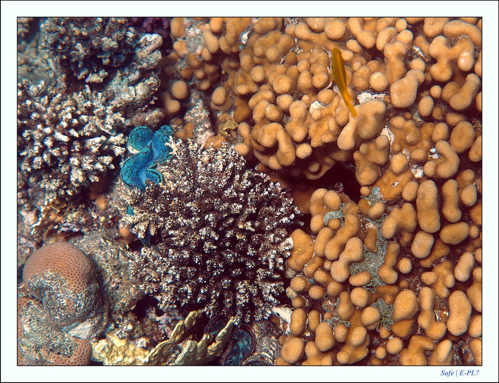 Hurghada - Juillet 2021 - 062